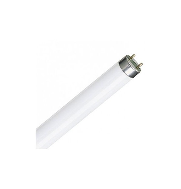 TUB FLUORESCENT. 18W / 79 CARNE